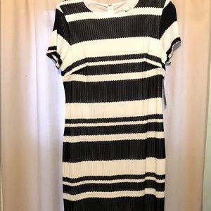 NY & CO DRESS SZ M NWT